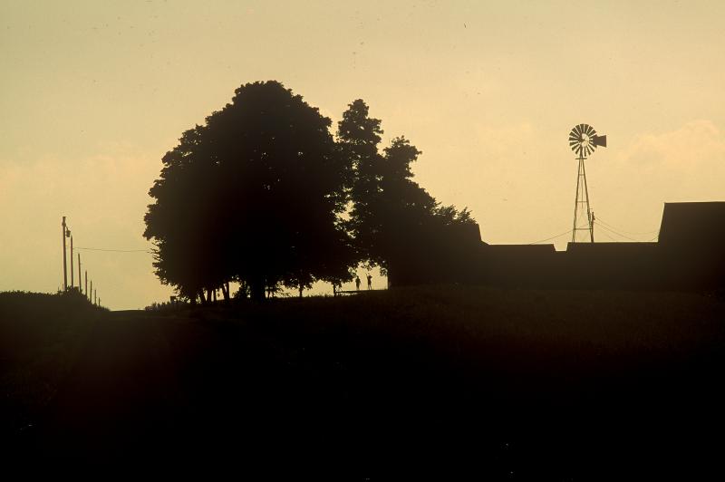 The House by the Side of the Road- Photo by Jan Abbott Photography
